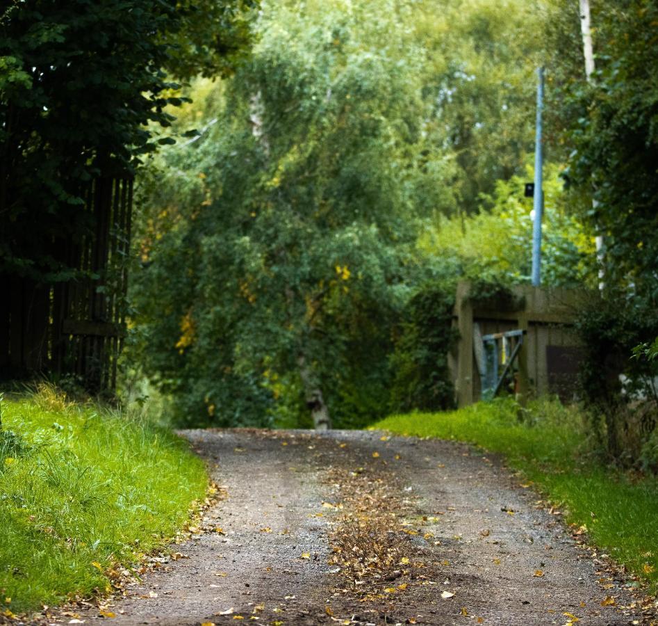 Hollins Farm - Dog Friendly, Self Catering Holiday Lodges Knaresborough Exterior foto